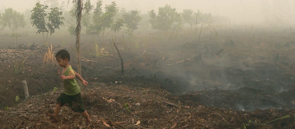Child walking over smoldering peat in Katingan on Borneo