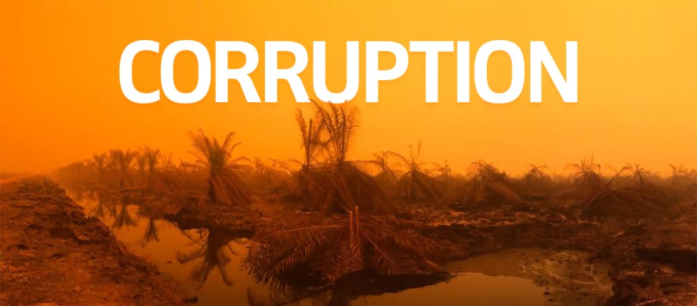 Fires in Sumatra Fires in Sumatra + caption CORRUPTION