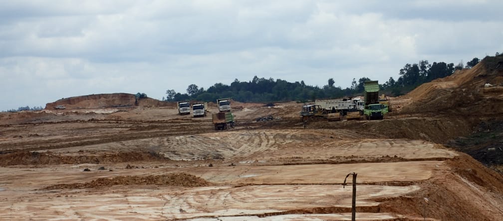 First Resources destroys proboscis forest near Balikpapan