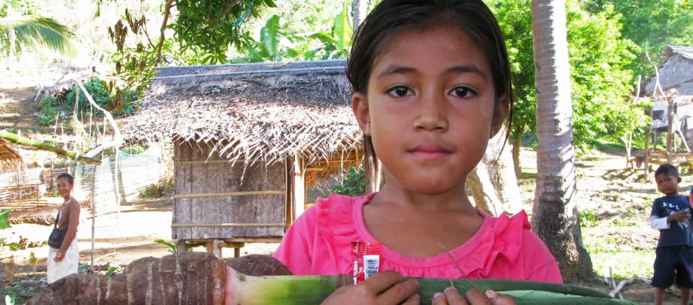 The indigenous Pala'wan families cultivate fruit and vegetables in small forest gardens A Pala’wan girl carrying Taro, the local vegetable, standing in front of village huts