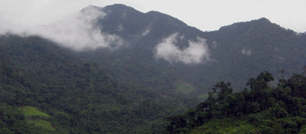 Mountain landscape covered with dense forest