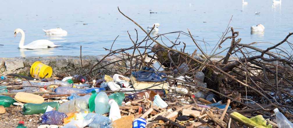 Plastic waste on the banks of the Danube Plastic waste on the banks of the Danube and swans on the water