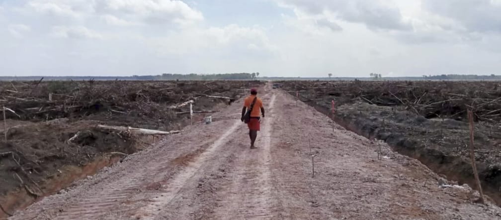 A man walking through cleared land