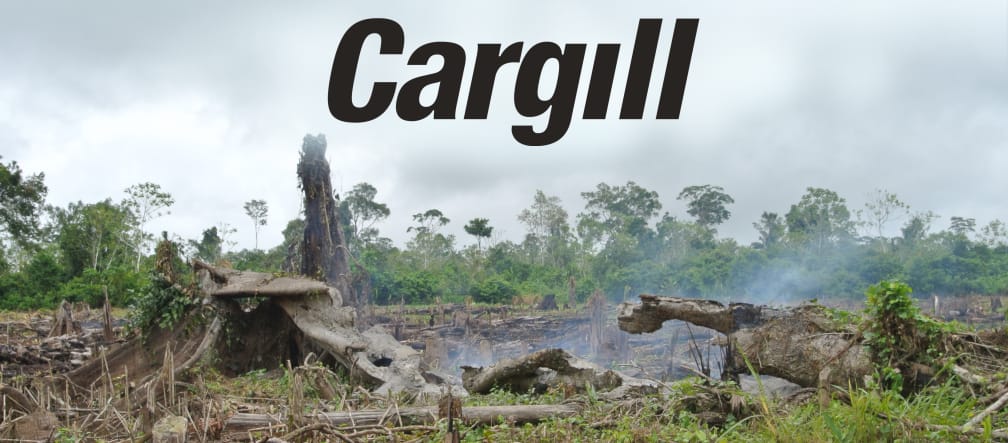 Forests are being torched in South America to make way for industrial farming. Torched forest and Cargill logo