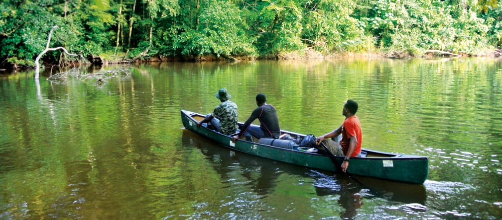 River in Sapo National Park, Liberia