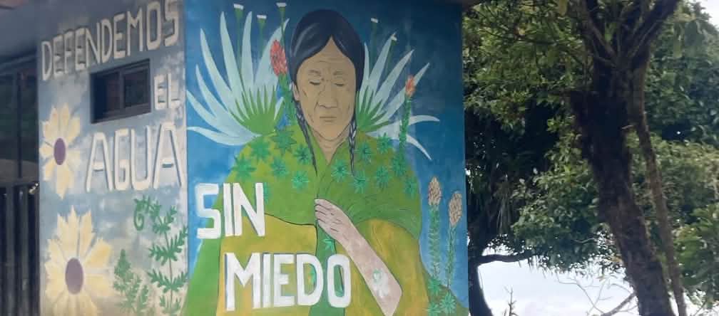 A colorful mural of plants and an indigenous woman on the walls of a small building with the inscription: “Let’s defend the water without fear”