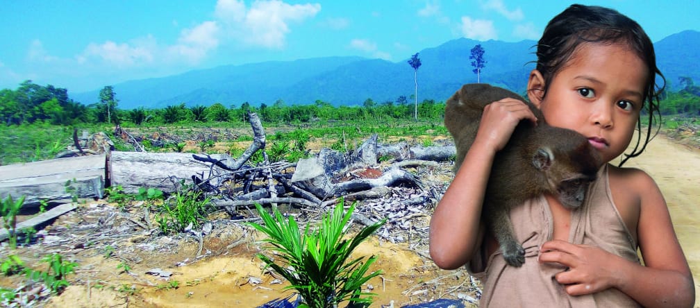 Nowhere to live: converting land into oil palm plantations