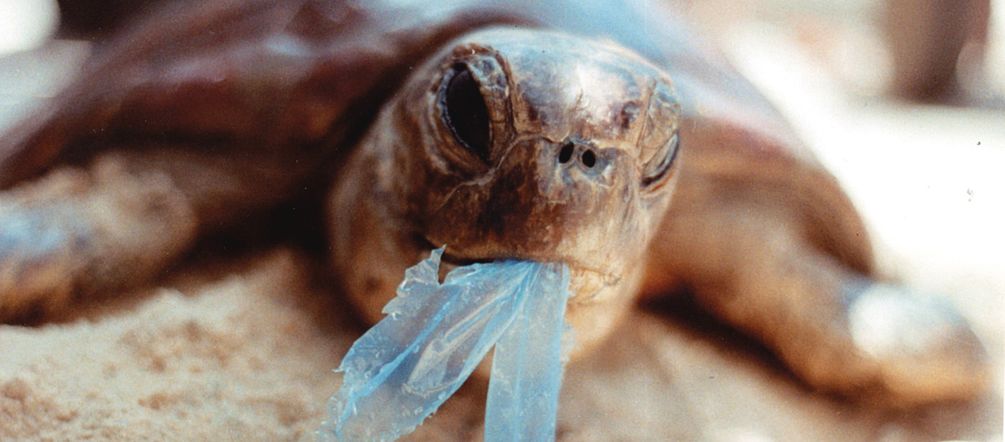 Ever more deadly plastic waste is accumulating in the oceans. (photo: Ron Prendergast)