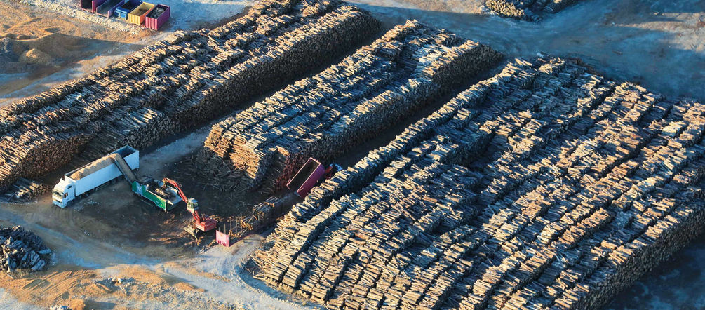 This was once a forest – and soon to be “green” power. Uniper biomass power plant
