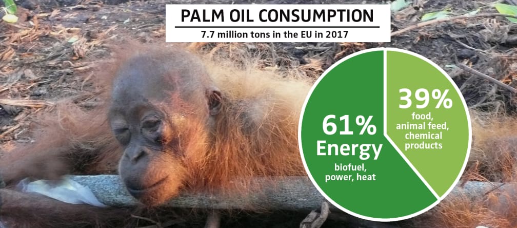 Palm oil consumption in Europe in 2017 PALM OIL CONSUMPTION 2017