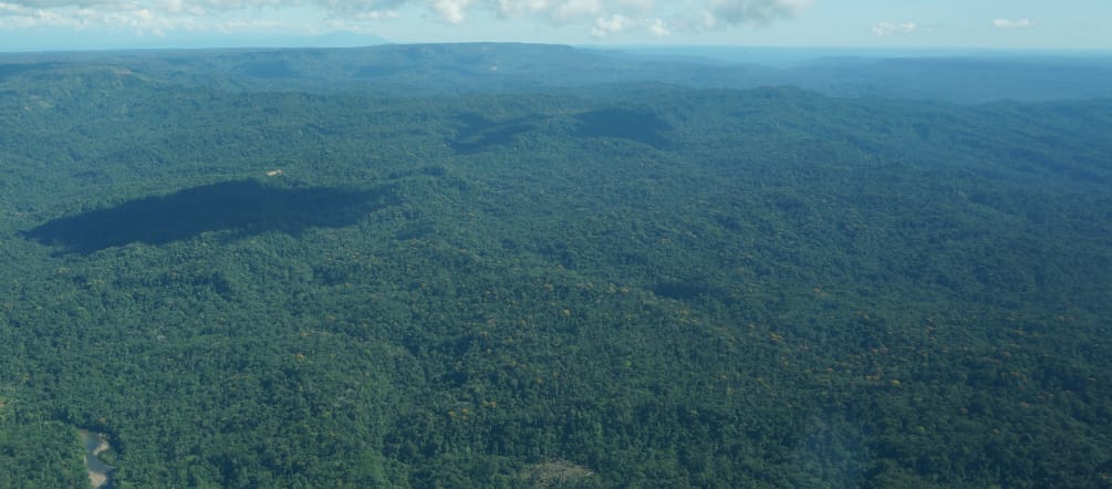 Aerial view of the Sapara rainforest from a small plane