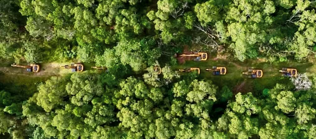 Drone photo of a long row of excavators in the rainforest