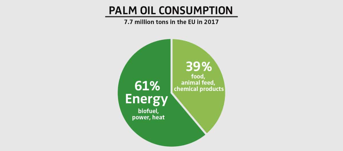 PALM OIL CONSUMPTION 2017