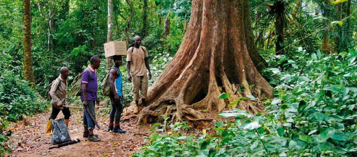 Eco-Guards in the rainforest