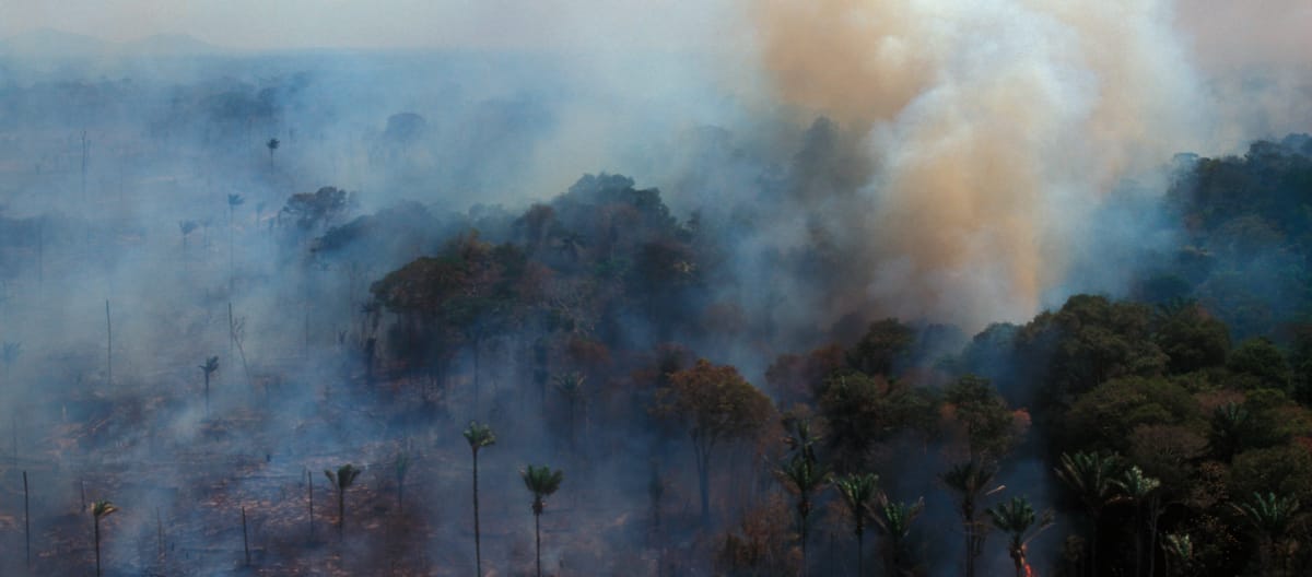 Aerial view of burning rainforest