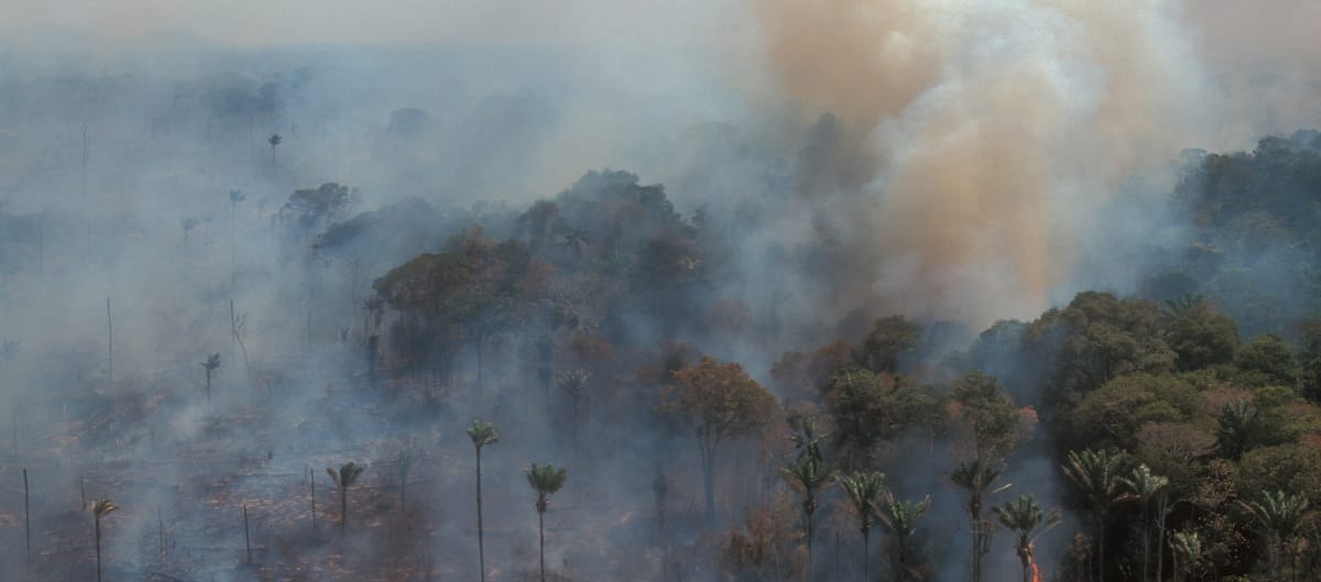 Aerial view of burning rainforest