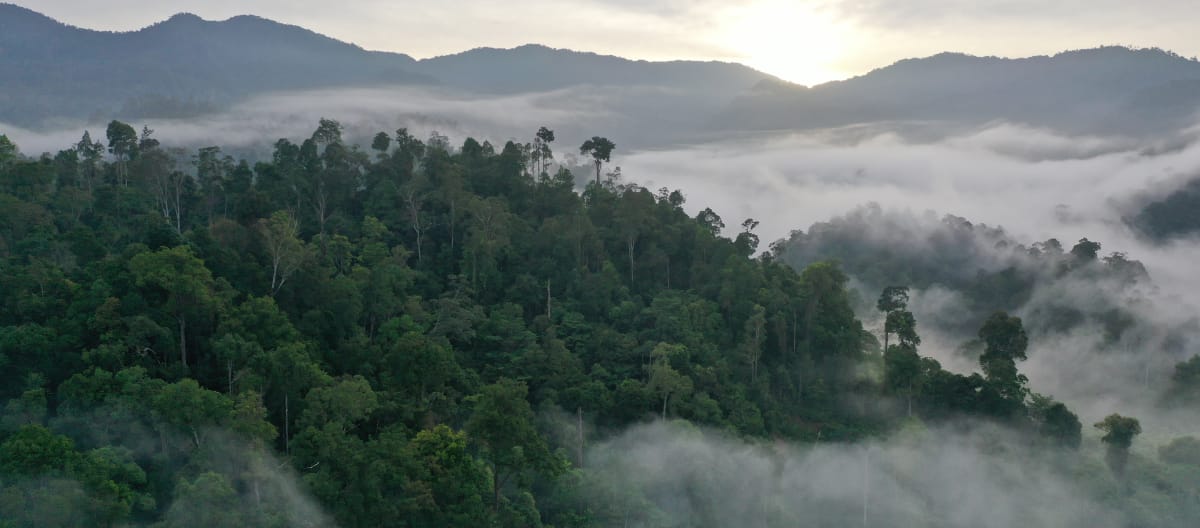 Clouds on forested mountains