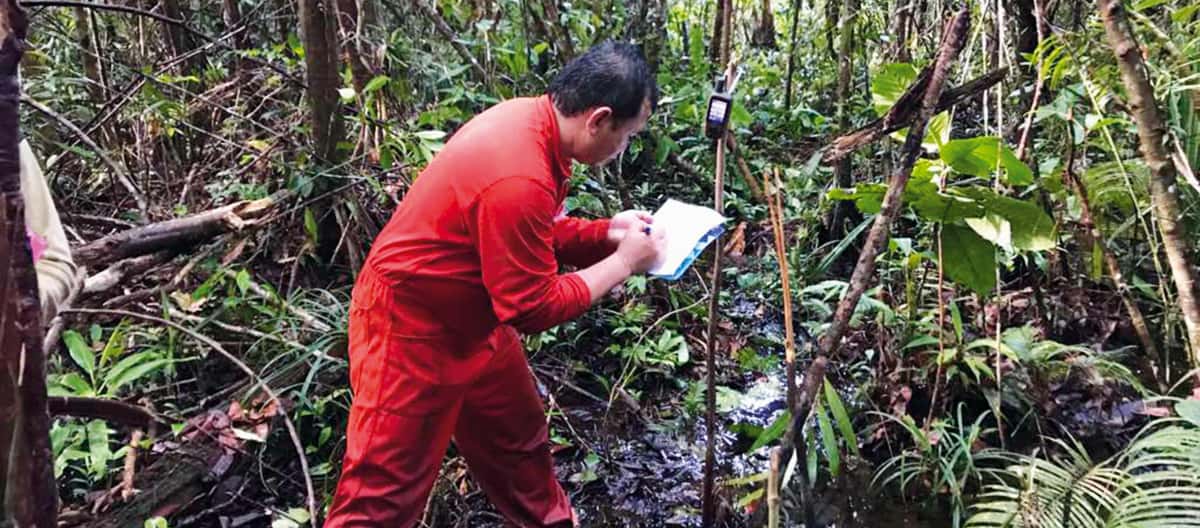 Matek surveying a forest