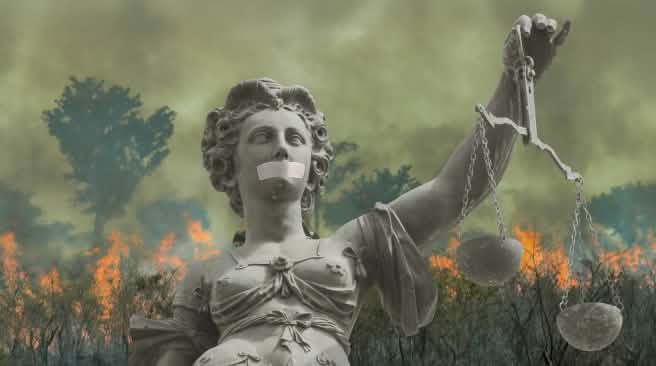 Montage: Justitia in front of a burning rainforest