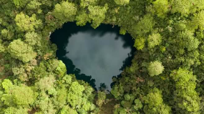 Aerial view of a small heart-shaped cenote with dark water, surrounded by dense green forest