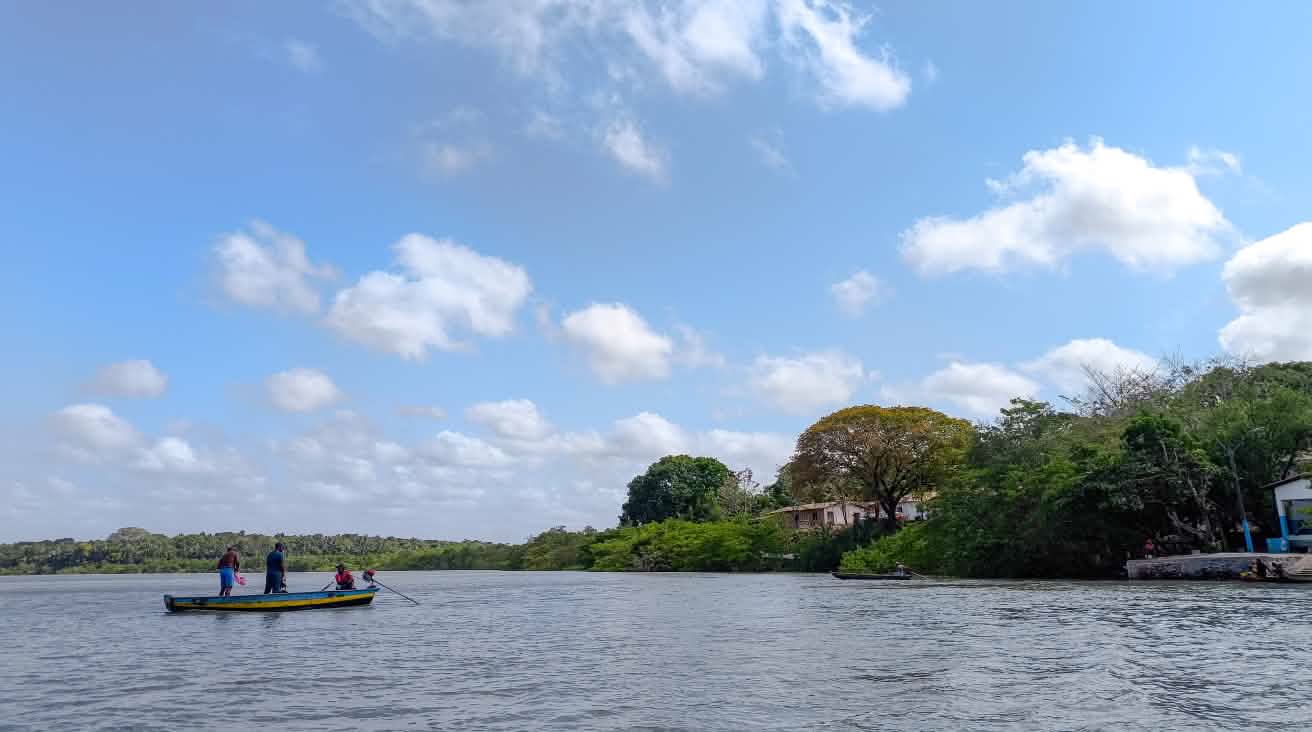 Under a blue sky, a small boat sails out to sea with three fishermen. To the right are small houses in the middle of a forest.