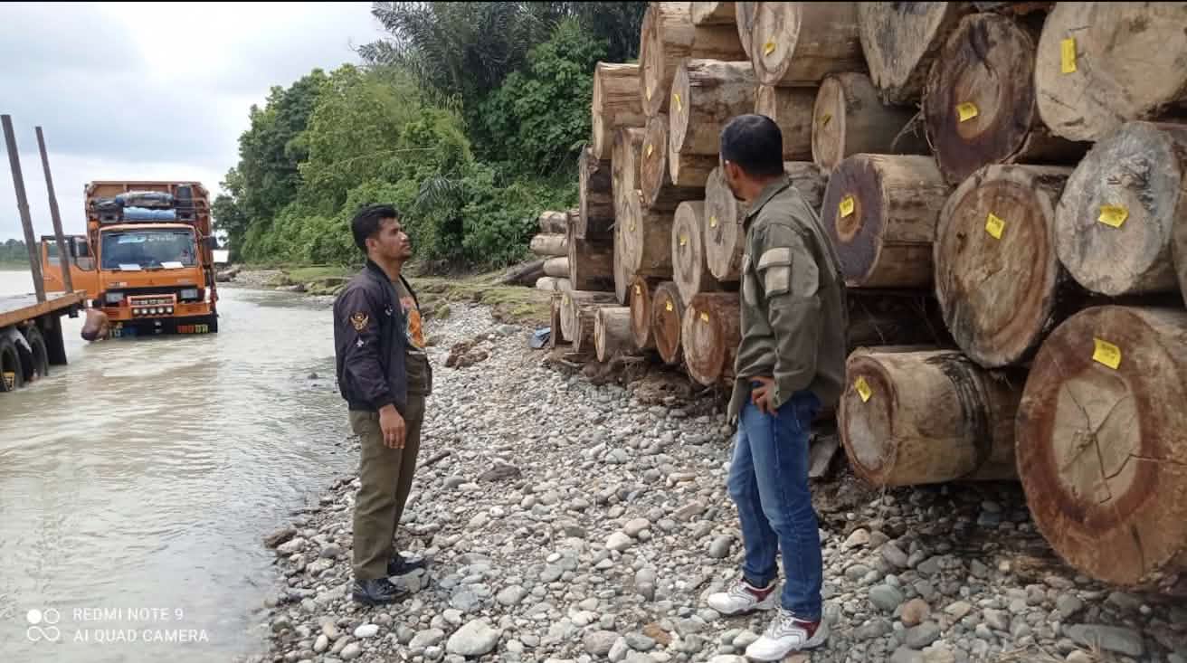 Two men standing in front of a stack of logs and a truck