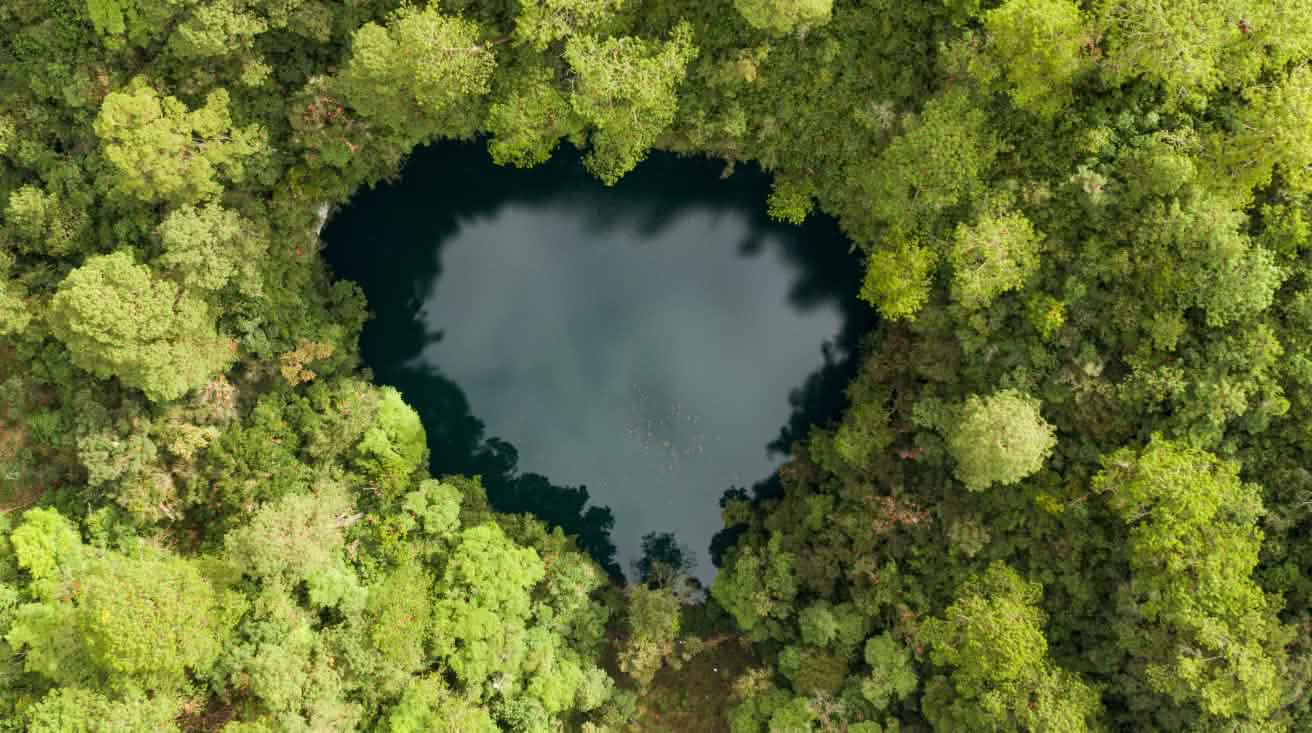 Aerial view of a small heart-shaped cenote with dark water, surrounded by dense green forest