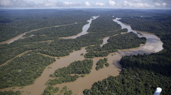Aerial view of the Amazon rainforest, river landscape