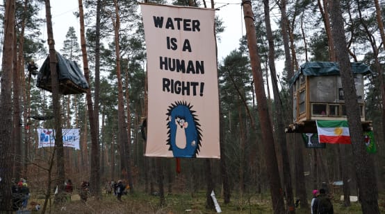 “Water is a Human Right” banner in a pine forest