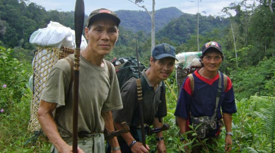 Three indigenous men in the jungle of Sarawak