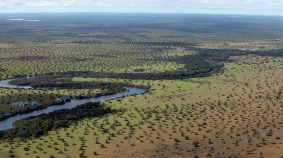 Aerial view of cerrado in Brazil, landscape with forest and river