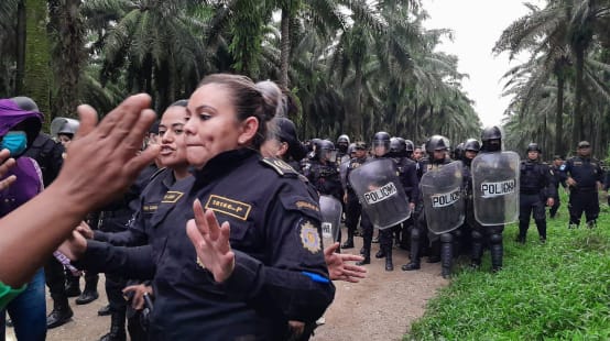 A large group of police in riot gear advance on a dirt road in an oil palm plantation