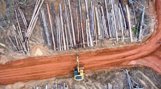 Aerial view: Clearing forest for Korindo oil palm plantations in Papua