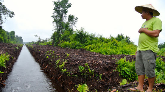 Matek Geram standing near a drainage ditch