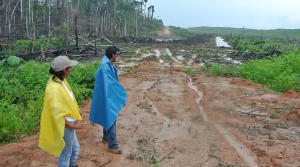 Two Peruvian smallholders in a clearing that will be planted with oil palms