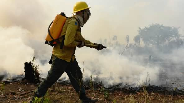 A person wearing protective clothing and carrying a water canister on their back spraying water on smoldering vegetation