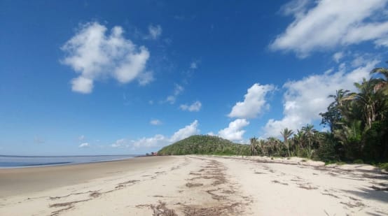 Tropical beach with palm trees on Cajual Island