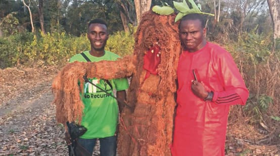 Spirituality in Guinea-Bissau