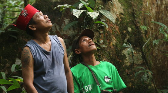 Indigenous Dayak Tomun in Kinipan forest