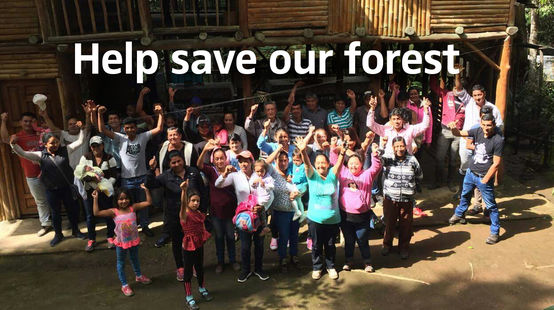 People protesting with raised fists. Text "Help save our forest"