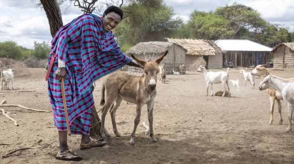 Maasai man with donkey