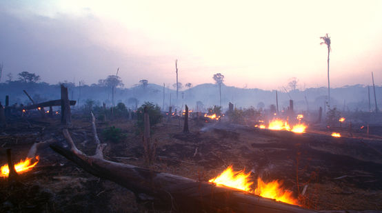 Slash and burn in Brazil