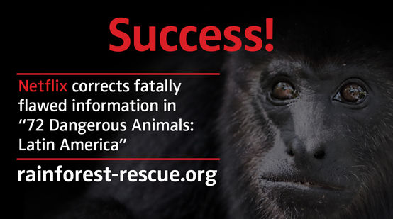 Black howler monkey (Alouatta carayá)  with text "Success!"