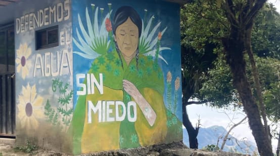 A colorful mural of plants and an indigenous woman on the walls of a small building with the inscription: “Let’s defend the water without fear”