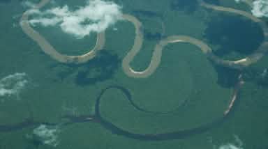 Amazon rainforest