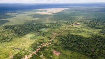 Aerial view of a small village along a straight dirt road, with oil palm plantations cut into the rainforest behind it