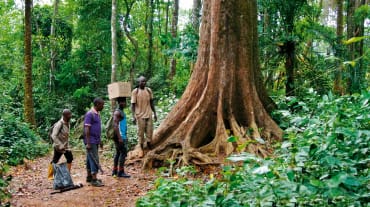 Eco-Guards in the rainforest