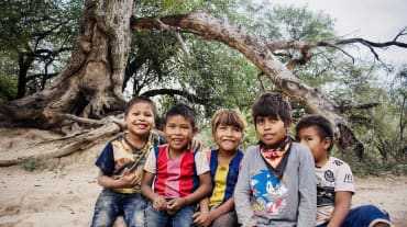 Kids under a tree