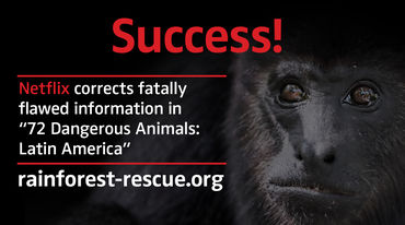 Black howler monkey (Alouatta carayá) with text "Success!"