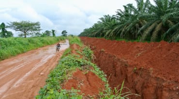Trench around Okomu Oil Palm plantation in Nigeria